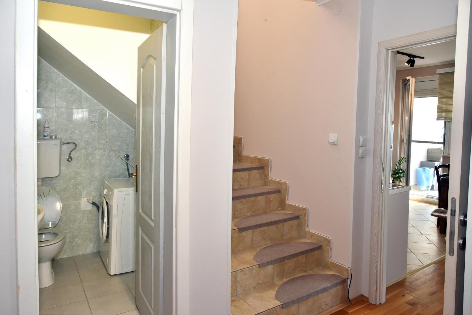Jasmina Daire Novi Sad